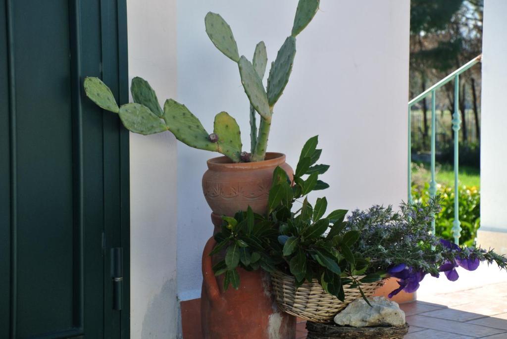 Il Giardino Del Te Hotel Barletta Ruang foto